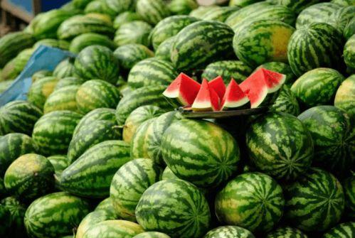 济宁吃瓜金乡网红,揭秘金乡美食与网络传播的魅力”