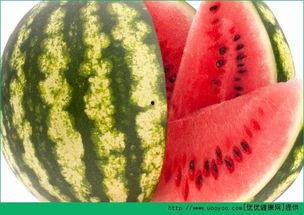 每日吃瓜网官网,揭秘娱乐圈最新热点，带你畅游八卦海洋