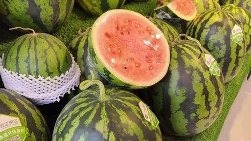 每日吃瓜网官网,揭秘娱乐圈最新热点，带你畅游八卦海洋