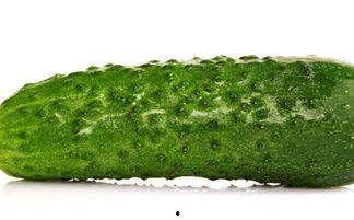 每日吃瓜网官网,揭秘娱乐圈最新热点，带你畅游八卦海洋