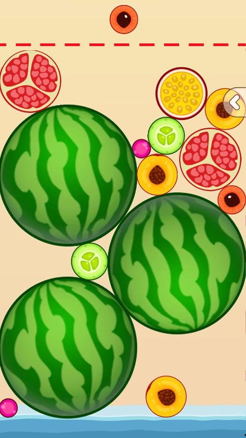 吃网瓜游戏,探索虚拟世界的奇幻之旅