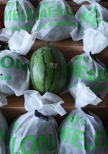 吃瓜爆火的网红,网红吃瓜背后的流量密码