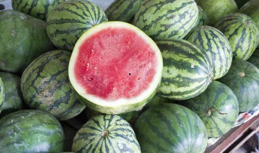 网红吃瓜爆料大全倒放,揭秘娱乐圈幕后真相