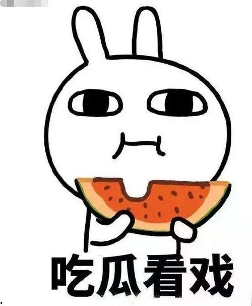 吃瓜网鸡语,吃瓜网带你探秘鸡的世界