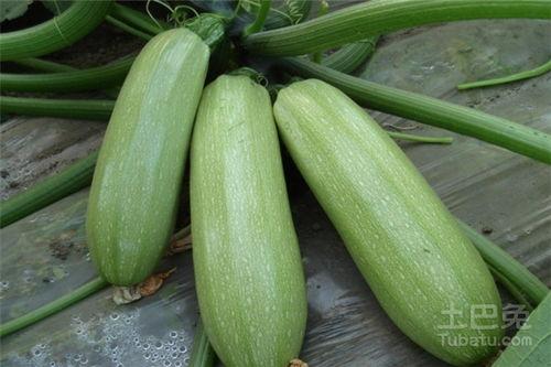 g718.sx吃瓜网,揭秘娱乐圈最新热点事件