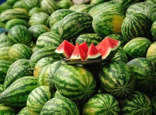 邳州网红吃小瓜事件视频,引发网友热议！