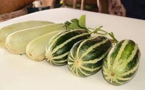 吃瓜网红叫什么名字