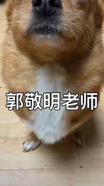 网红吃瓜s我,揭秘娱乐圈幕后真相