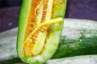 在线吃瓜爆料网红,揭秘娱乐圈幕后真相