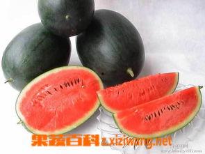 快手网红黑料吃瓜,吃瓜群众热议背后的真相