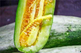 网红记录吃瓜,揭秘娱乐圈幕后故事