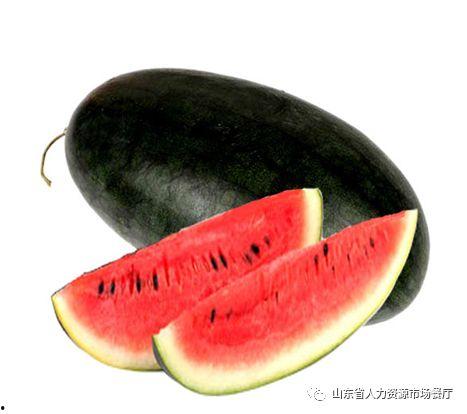 黑瓜吃料网官,揭秘美食背后的故事与秘籍