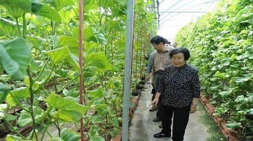 江山网红吃瓜事件是真的吗