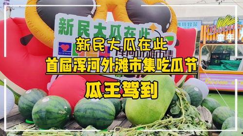 新民网吃瓜,揭秘娱乐圈最新“吃瓜”事件，带你一探究竟