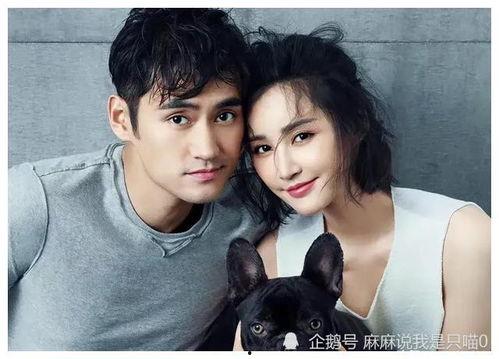 众多网红明星吃瓜视频,娱乐圈幕后故事全收录