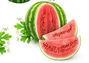 小希吃网瓜,小希的网瓜美食之旅