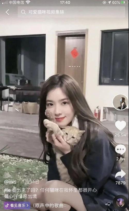 网红爱婷婷吃瓜,揭秘娱乐圈吃瓜背后的故事