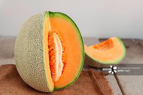 网红二狗很忙吃哈密瓜,品尝哈密瓜美味瞬间