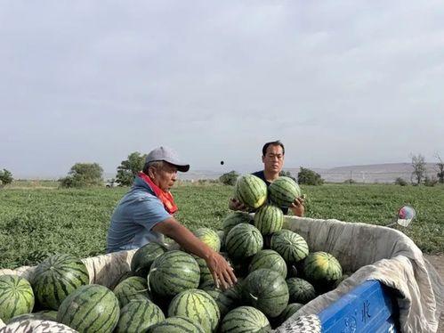 网曝吃瓜一区,揭秘娱乐圈幕后风云