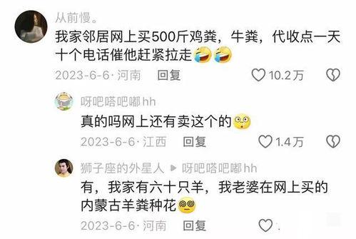 小娱吃瓜当爸妈学会网购,揭秘爸妈学会网购的甜蜜转变