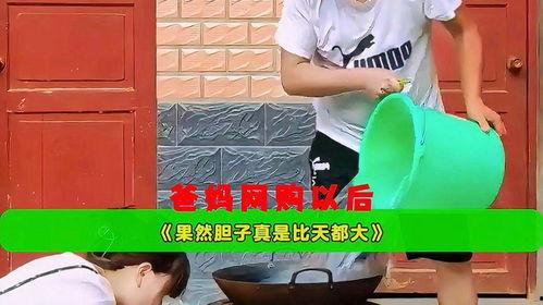 小娱吃瓜当爸妈学会网购,揭秘爸妈学会网购的甜蜜转变