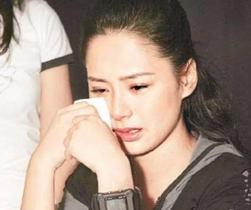 吃瓜明星网红圈 道歉,揭秘娱乐圈风波背后真相”