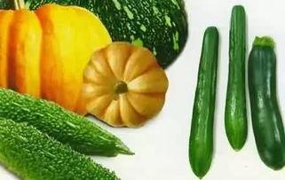 济宁网红吃瓜事件,揭秘网络舆论的风暴与真相