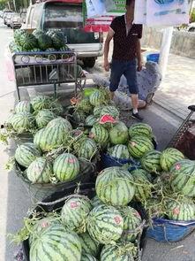 济宁网红吃瓜事件,揭秘网络舆论的风暴与真相