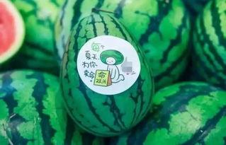 只吃瓜不看戏的网红,揭秘只吃瓜不看戏的网红传奇