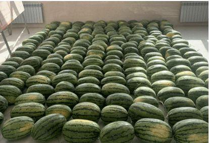 五一吃瓜网吃瓜新闻,五一假期热门吃瓜新闻大盘点