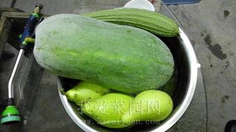 吃瓜网今日吃瓜热门大,揭秘娱乐圈最新八卦风云