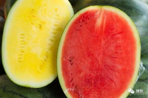 啥时吃瓜网,网络舆论风向标的崛起之路