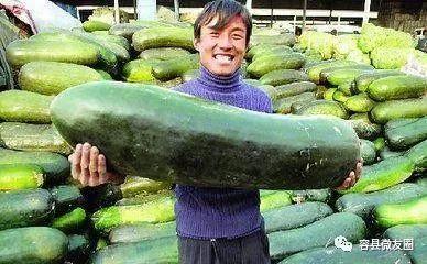 爱上吃瓜网,揭秘爱上吃瓜网的瓜事秘闻