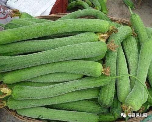 爱上吃瓜网,揭秘爱上吃瓜网的瓜事秘闻