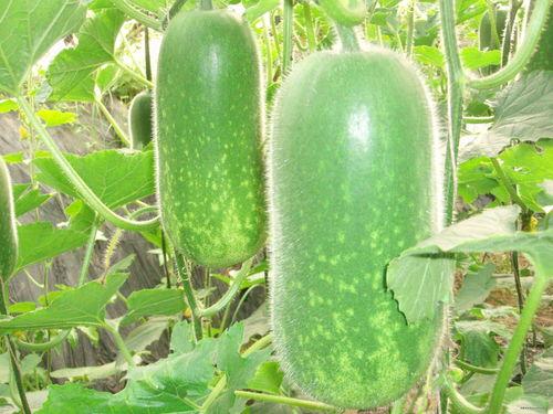 ccgg吃瓜网最新,娱乐圈最新热点事件大追踪