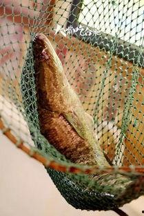 网红鱼小妹吃瓜视频