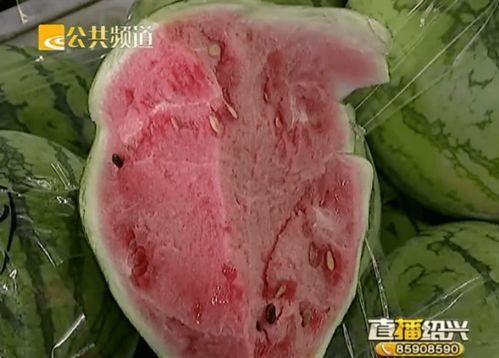 绍兴吃瓜官网最新消息,揭秘当地特色美食与热门话题