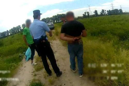 绍兴吃瓜官网最新消息,揭秘当地特色美食与热门话题