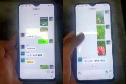 绍兴吃瓜官网最新消息,揭秘当地特色美食与热门话题