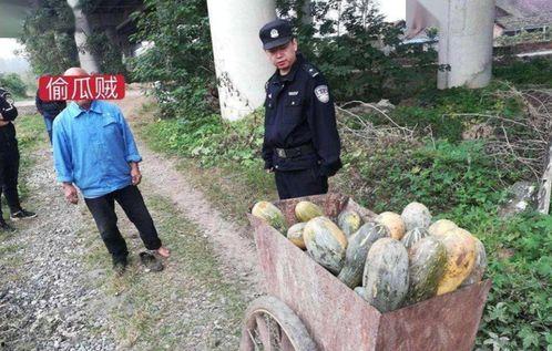 盐山网红吃瓜事件视频曝光,视频曝光引发网友热议