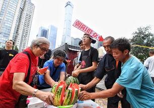 朝阳民众吃瓜网最新消息