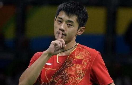 网红吃瓜张继科的瓜是什么,一场关于体育明星的瓜界风云