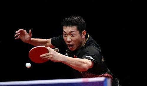 网红吃瓜张继科的瓜是什么,一场关于体育明星的瓜界风云