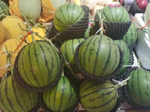 网红顶流吃瓜事件,揭秘娱乐圈背后的真相与争议