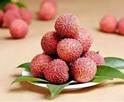 吃瓜少女爱荔枝视频网盘,吃瓜少女爱荔枝，带你领略视频世界的甜蜜诱惑