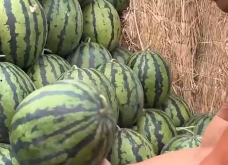 最新吃瓜事件山东新闻网,揭秘最新吃瓜事件，真相大白！