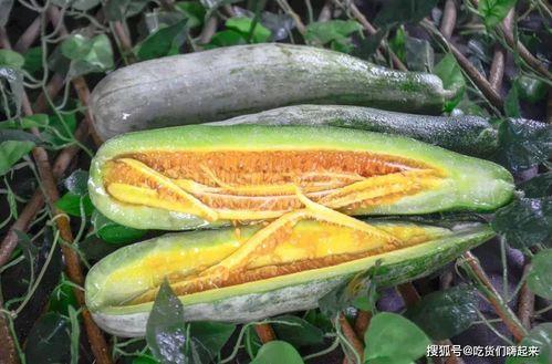 网红黄晓娜吃瓜