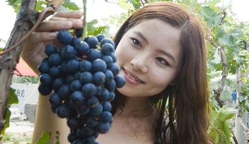 网红吃葡萄瓜是真的吗知乎,真相揭秘还是炒作？