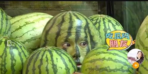 吃瓜反差网红大赛,揭秘吃瓜反差网红大赛背后的精彩故事  第3张