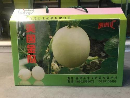 美国吃瓜网,揭秘娱乐圈幕后真相，带你领略不一样的娱乐世界  第3张